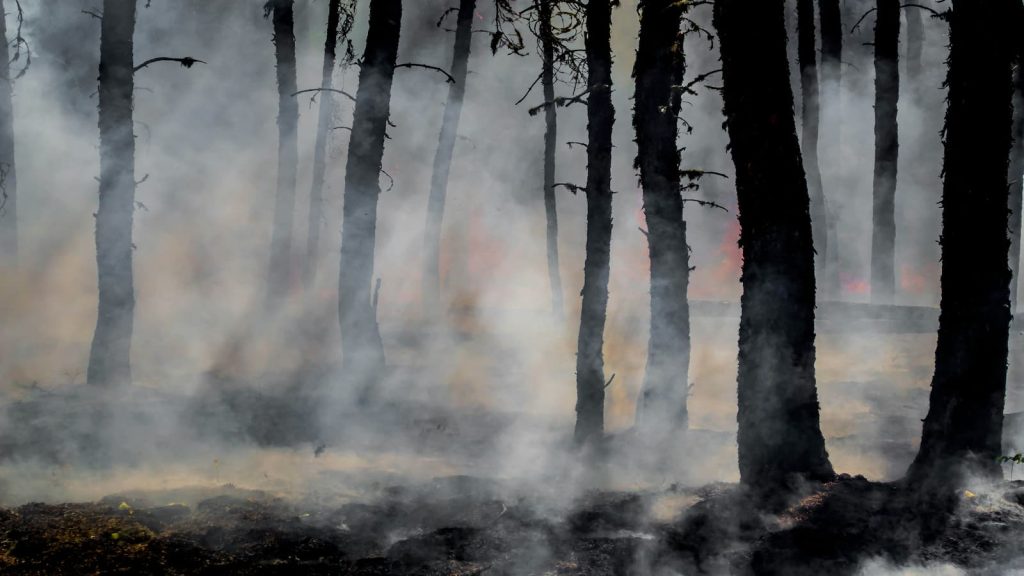 Wildfires disrupt Canadian oil sands, causing staff demobilization and production issues. Despite this, output remains high.