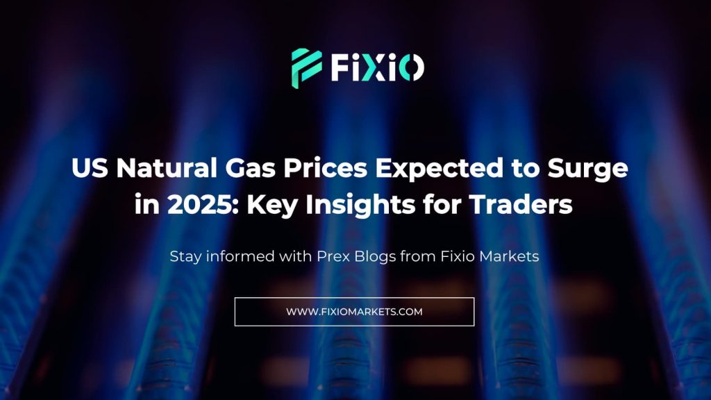 Explore the forecast for US natural gas prices, expected to rise sharply in 2025. Learn about current trends, production, and demand impacts.