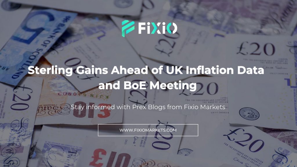 Sterling gains ahead of BoE meeting and UK inflation data. Learn more about recent Forex market movements and what to expect from the BoE.