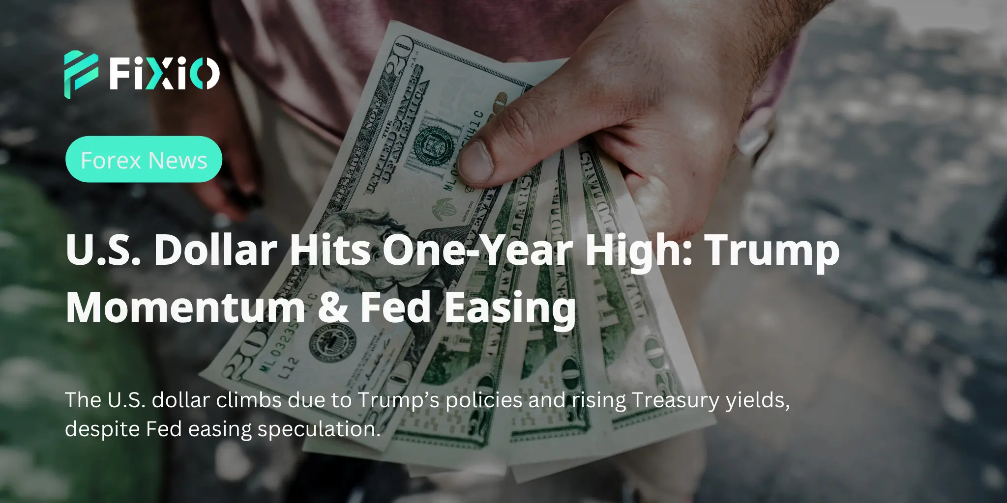 U.S. Dollar Hits One-Year High: Trump Momentum & Fed Easing