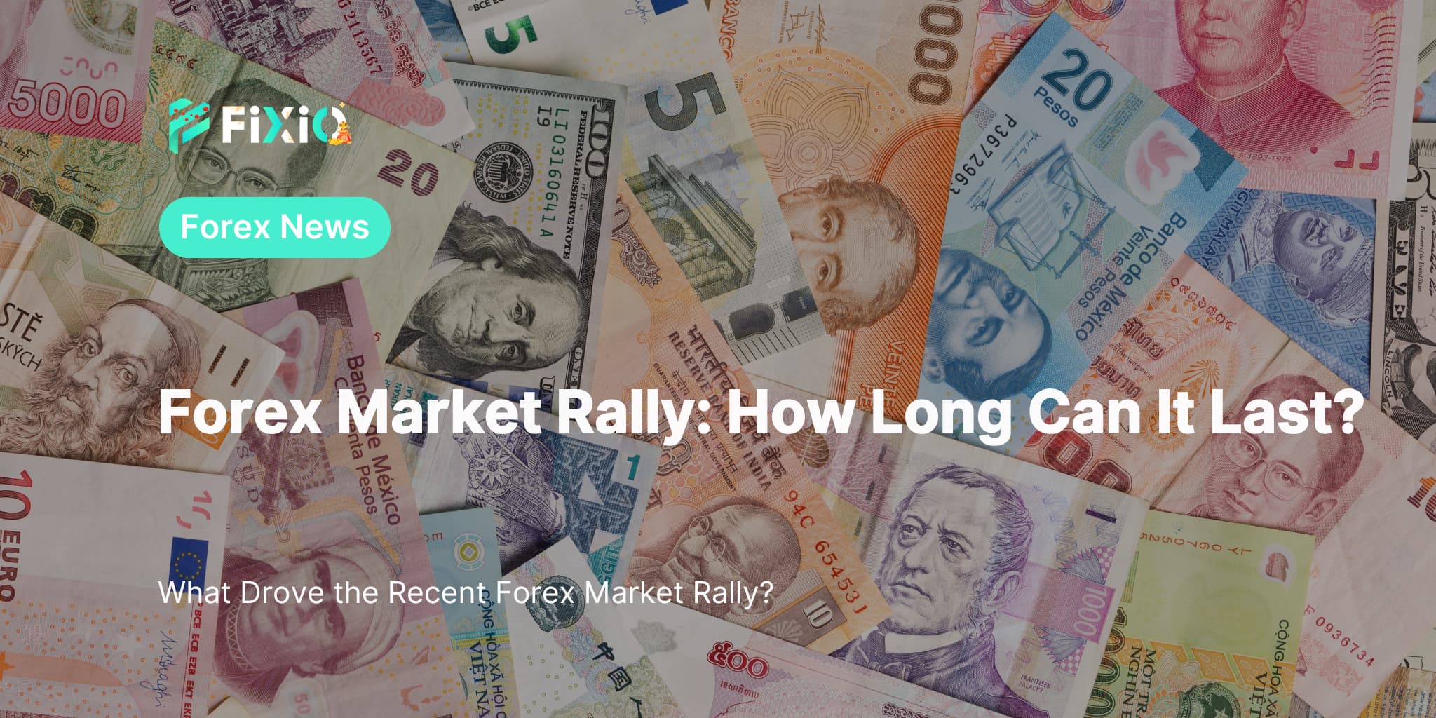 Forex Market Rally: How Long Can It Last?