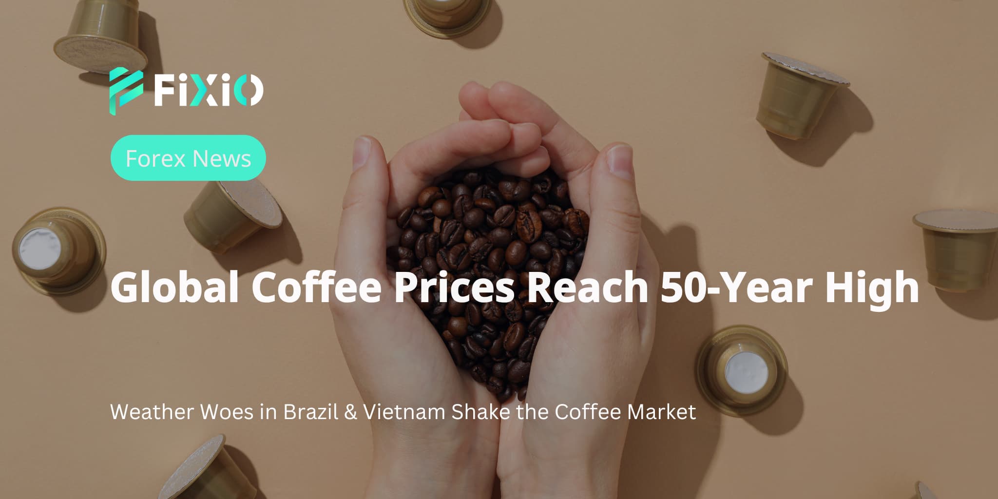 Global Coffee Prices Reach 50-Year High