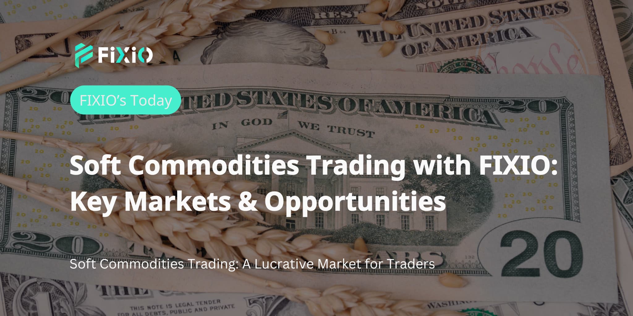 Soft Commodities Trading with FIXIO: Key Markets & Opportunities