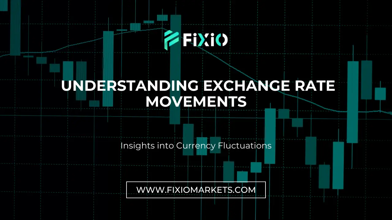 Understanding Exchange Rate Movements