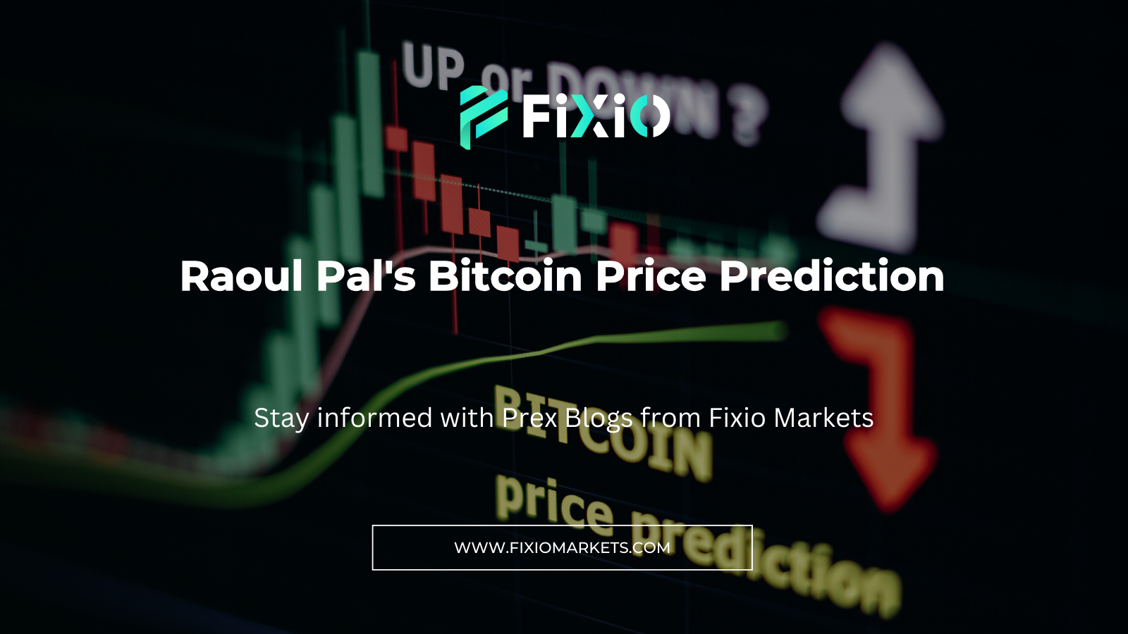 Raoul Pal's Bitcoin Price Prediction